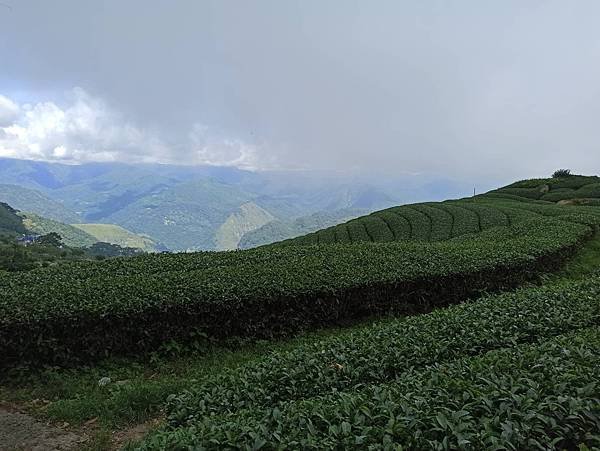 2020618二延平步道_200618_0005.jpg