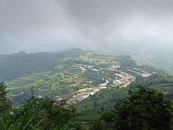 2020618二延平步道_200618_0020.jpg