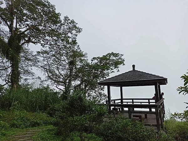 2020618二延平步道_200618_0019.jpg