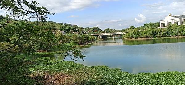 2020813大埔水庫，峨嵋湖步道，細矛埔吊橋_200813_33.jpg