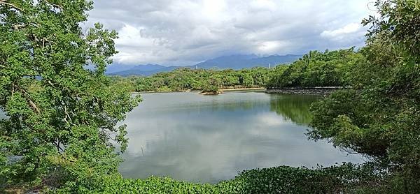 2020813大埔水庫，峨嵋湖步道，細矛埔吊橋_200813_35.jpg