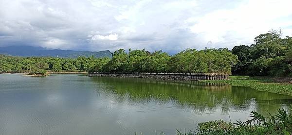 2020813大埔水庫，峨嵋湖步道，細矛埔吊橋_200813_34.jpg