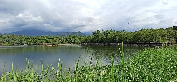 2020813大埔水庫，峨嵋湖步道，細矛埔吊橋_200813_30.jpg