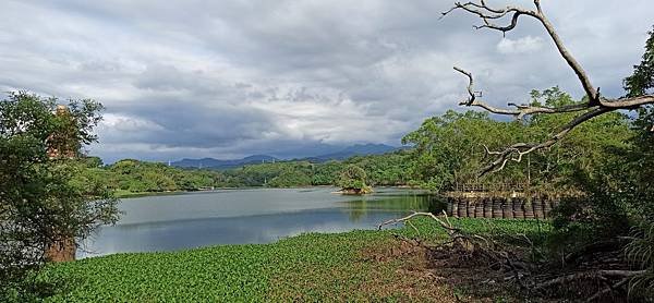 2020813大埔水庫，峨嵋湖步道，細矛埔吊橋_200813_36.jpg