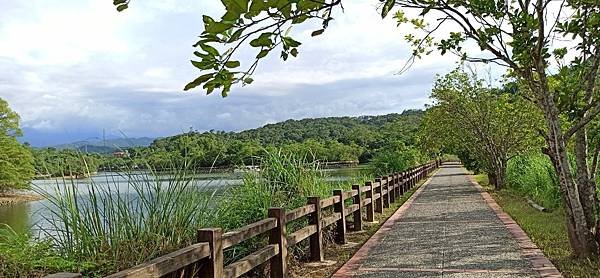 2020813大埔水庫，峨嵋湖步道，細矛埔吊橋_200813_20.jpg