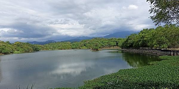 2020813大埔水庫，峨嵋湖步道，細矛埔吊橋_200813.jpg