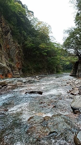 2021330雲海野溪_210330_46.jpg