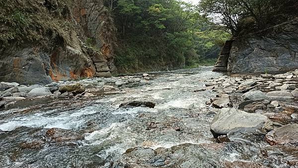 2021330雲海野溪_210330_47.jpg