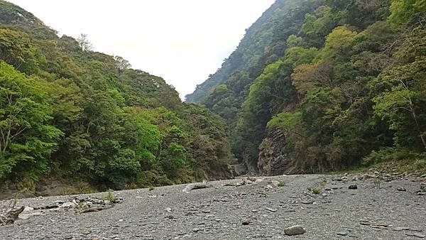 2021330雲海野溪_210330_35.jpg
