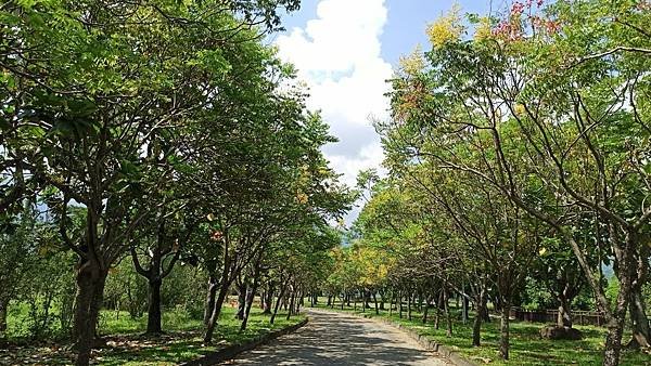 2020915大埔青雲瀑布，情人公園，海濱公園_200916_37.jpg