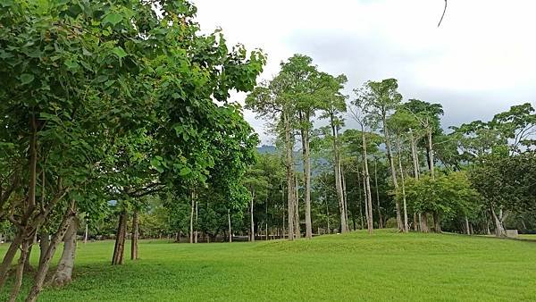 2020915大埔青雲瀑布，情人公園，海濱公園_200916_18.jpg