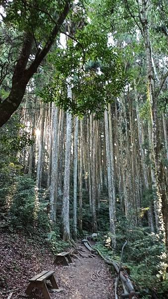 2021119加里山_210120_96.jpg