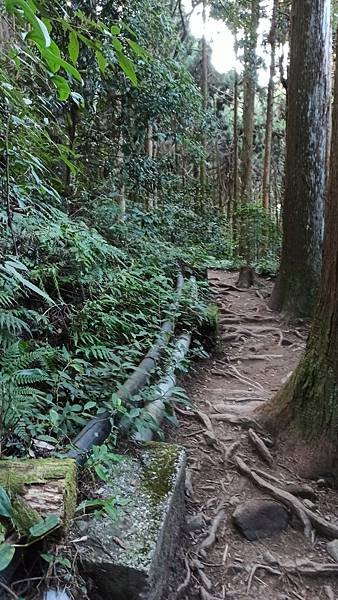 2021119加里山_210120_93.jpg