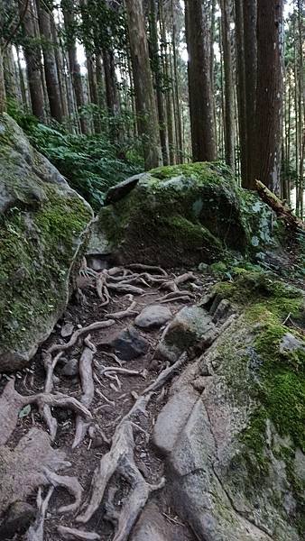 2021119加里山_210120_90.jpg