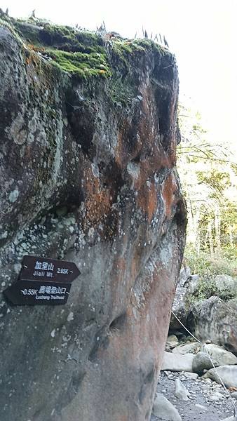 2021119加里山_210120_91.jpg