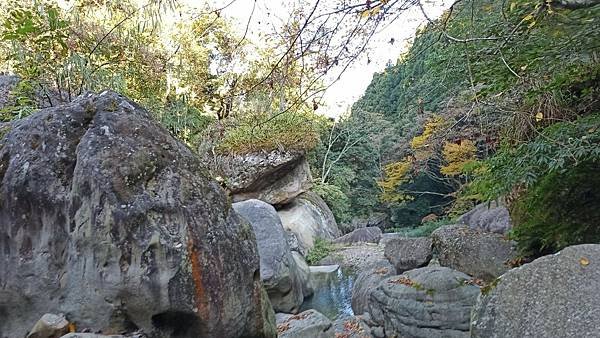 2021119加里山_210120_88.jpg