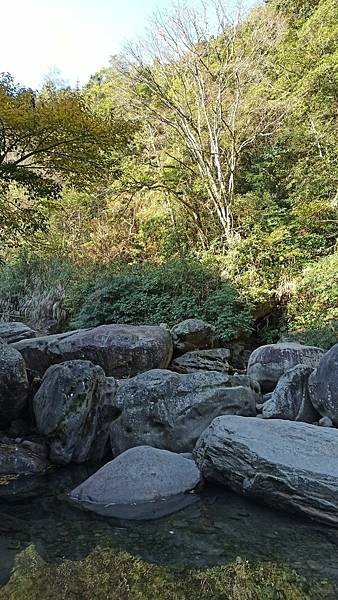 2021119加里山_210120_86.jpg