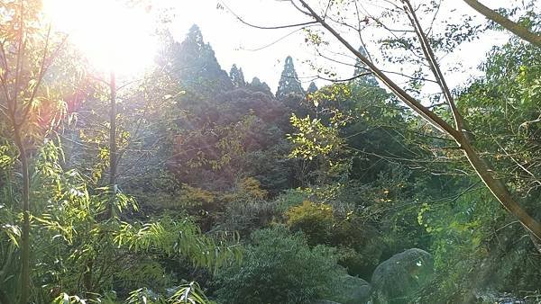 2021119加里山_210120_83.jpg