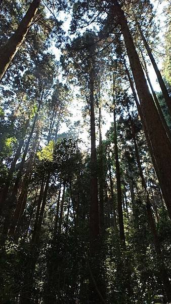 2021119加里山_210120_71.jpg