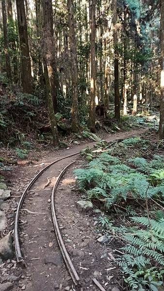 2021119加里山_210120_75.jpg