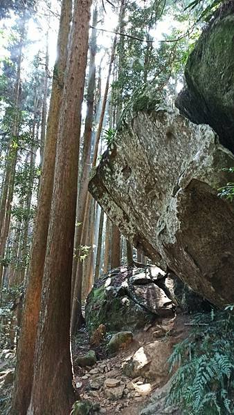 2021119加里山_210120_66.jpg