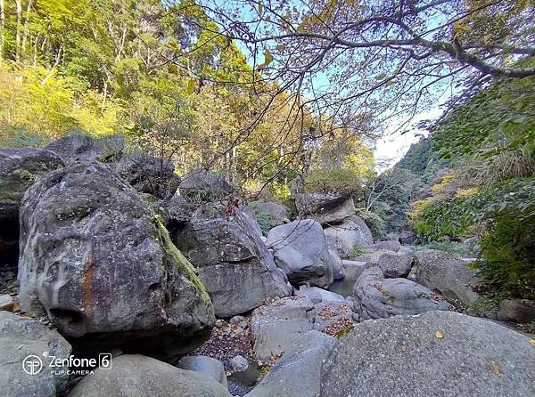 2021119加里山_210120_5.jpg