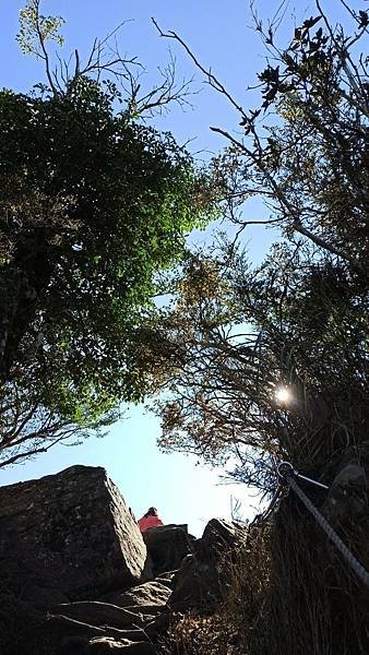 2021119加里山_210120_44.jpg