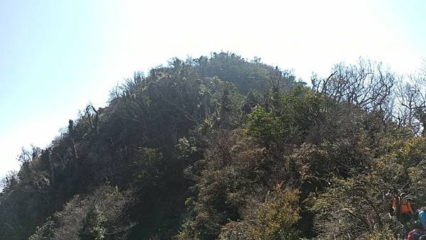 2021119加里山_210120_53.jpg