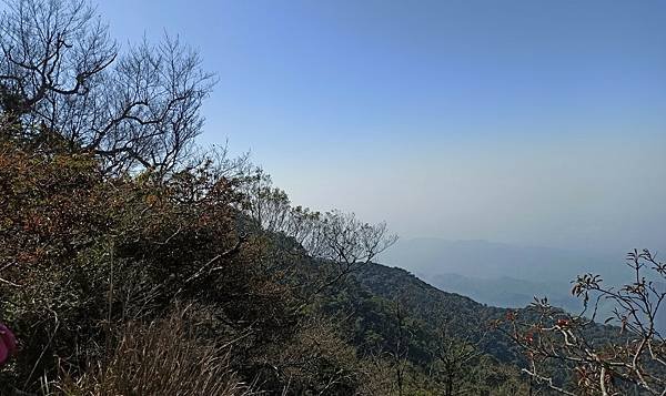 2021119加里山_210120_37.jpg