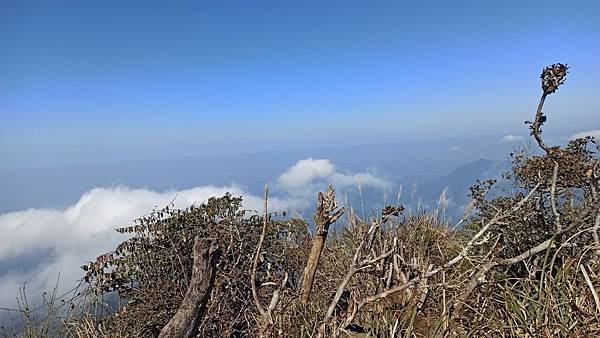 2021119加里山_210120_40.jpg
