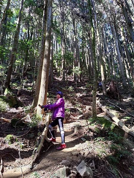 2021119加里山_210120_34.jpg