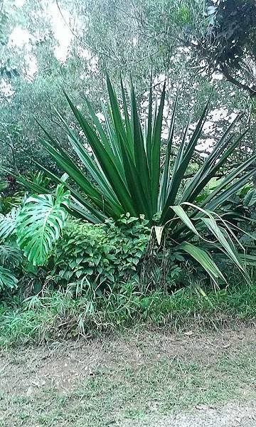 1904160_859339410746018_8733778635966245202_n.jpg