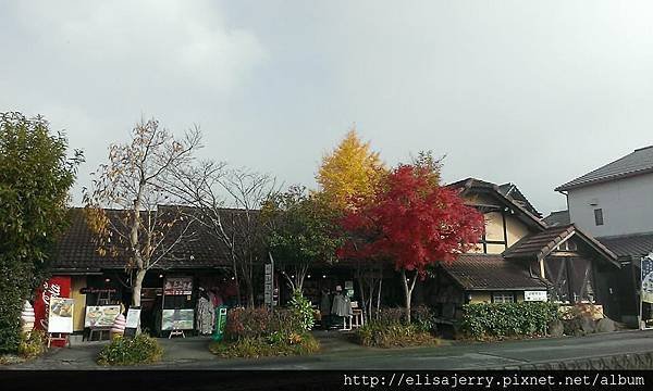 10501908_876775285669097_752950328423799536_n.jpg