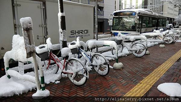 IMG_20171119_085810.jpg
