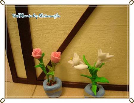 DSC07880.JPG