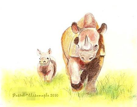 mom&amp;baby02__Rhino