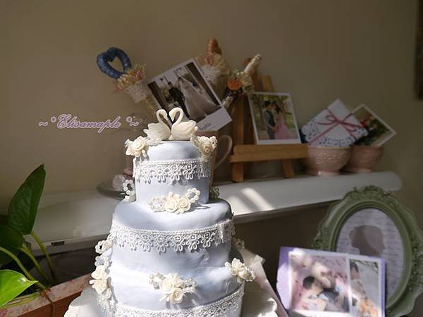 wedding cake9.JPG