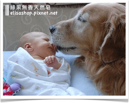 綠果心情話：讓孕婦安心的無香