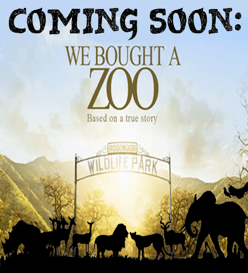 KAIL_10_-_We_Bought_a_Zoo_Movie