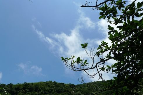 龜山島55.JPG