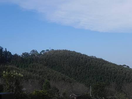 森林咖啡館 (14).jpg