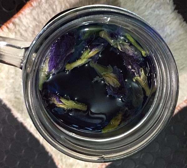 蝶豆花 (1)