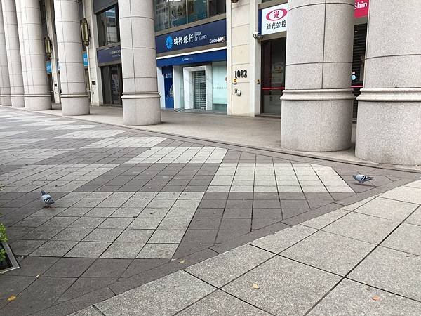 20181103 (3).JPG