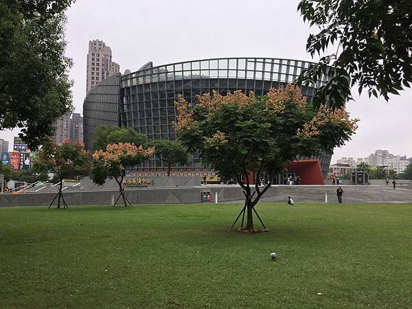 20181103 (14).JPG