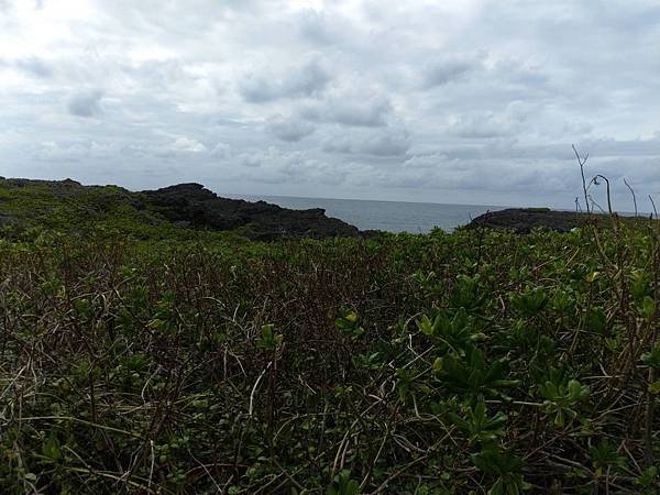 20190923宮古島2 (2).jpg