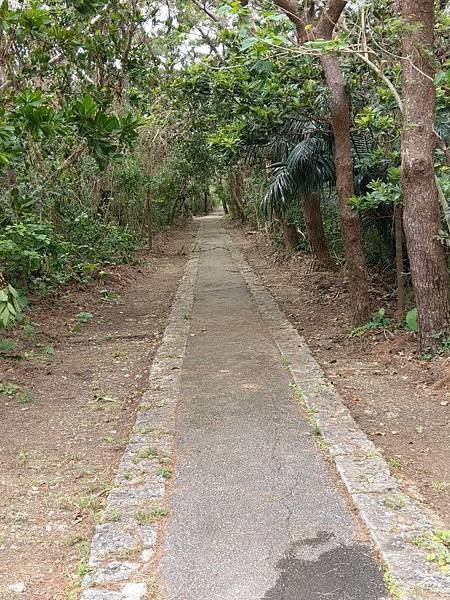 20190923宮古島2 (6).jpg