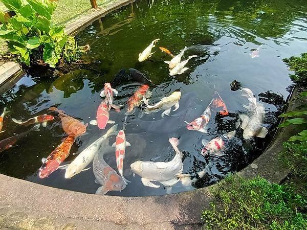 龍潭壹等賞庭園餐廳