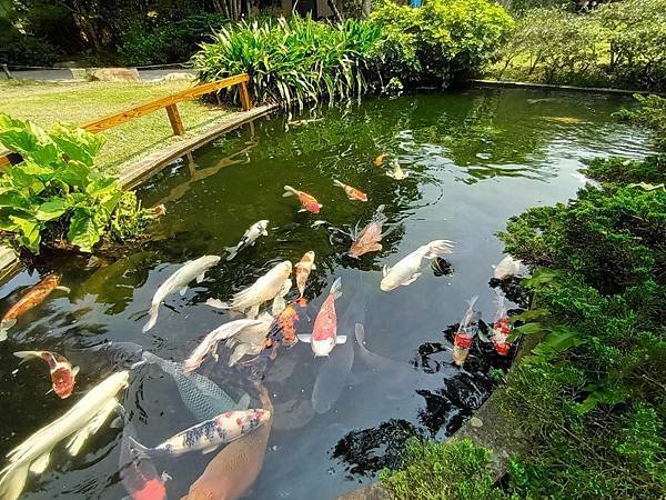 龍潭壹等賞庭園餐廳