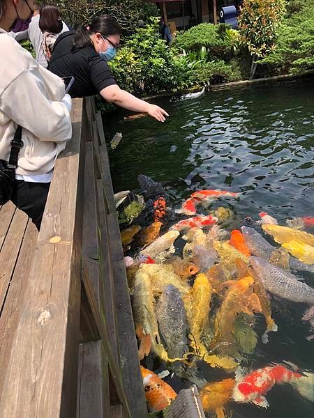 龍潭壹等賞庭園餐廳