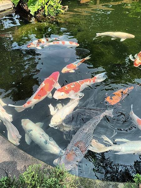 龍潭壹等賞庭園餐廳